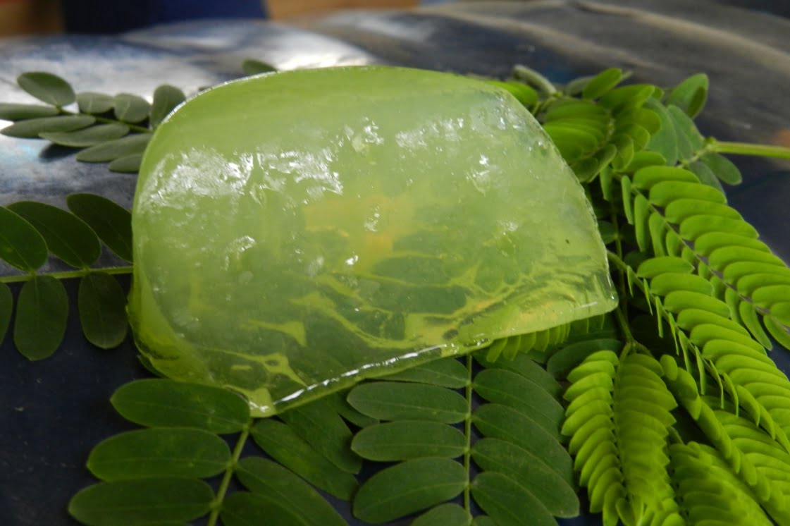 a green piece of soap on leaves